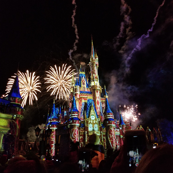 Disney World employs integrated mosquito management to keep their park mosquito and mosquito-borne disease free.