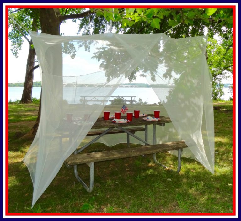 June is Mosquito Awareness Month - Tedderfield Premium Quality Mosquito ...