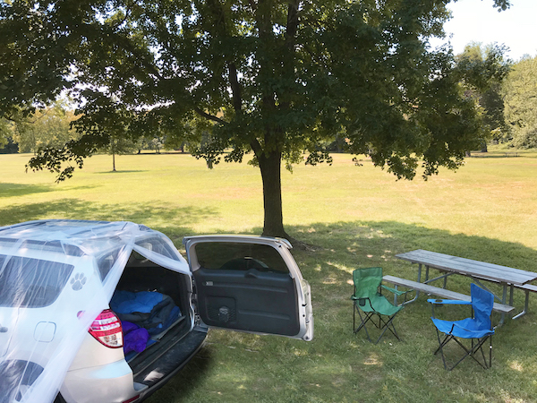 Using mosquito nets while camping will prevent bites and prevent diseases from the mosquitoes that carry them.