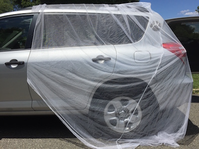 Car Trunk Mosquito Mesh, UV Protection Mosquito Repelling Zipper Design Car  Trunk Mosquito Net Secret Protection for Travel (M, Distance Between  Support Bars) : : Car & Motorbike