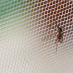Mosquito nets can be used indoors and outdoors to help protect you and your loved ones from mosquito bites and the dangerous diseases they may carry like Zika virus, malaria, West Nile virus, Dengue fever, chikungunya, and more.