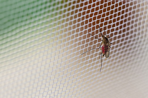 Mosquito nets can be used indoors and outdoors to help protect you and your loved ones from mosquito bites and the dangerous diseases they may carry like Zika virus, malaria, West Nile virus, Dengue fever, chikungunya, and more.