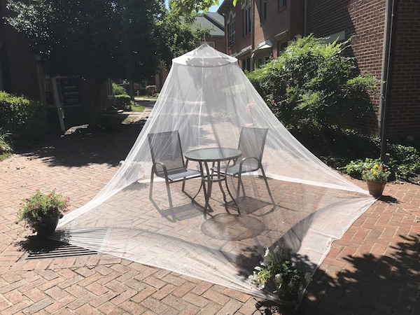 King-California King Size Conical Mosquito Net - Tedderfield Premium ...