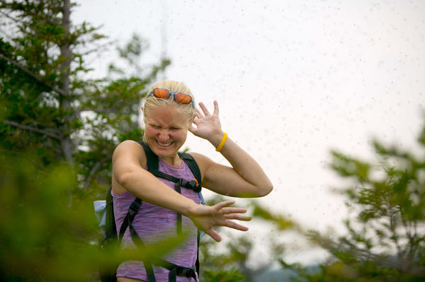 Did you know that swatting mosquitoes will teach them to stay away (at least temporarily?) How long is mosquito season?